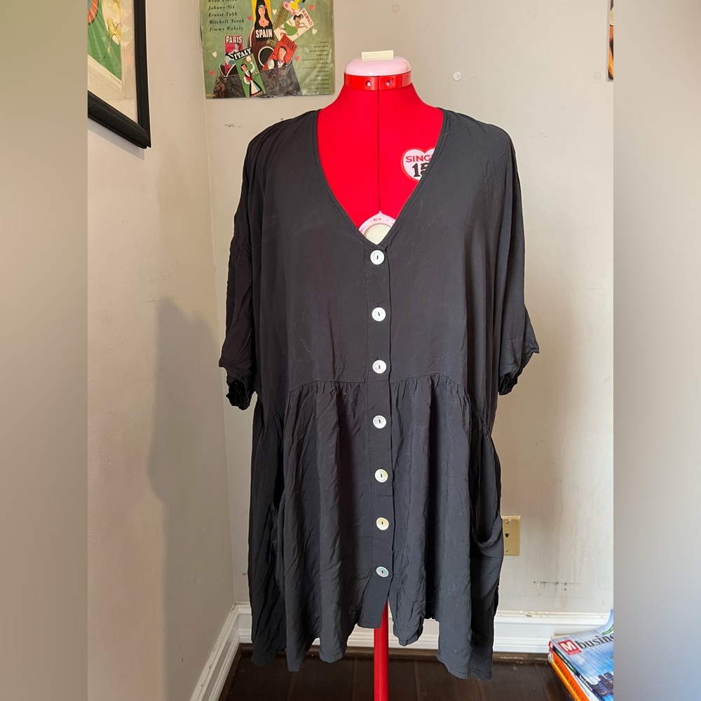 Zara dress